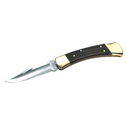 Buck 110 Hunter Folding Knife